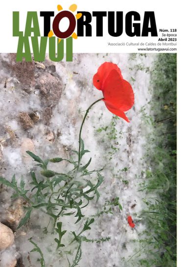 Portada de la revista La Tortuga Avui núm. 118